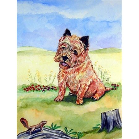 PATIOPLUS 11 x 15 in. Cairn Terrier And The Chipmunk Flag Garden Size PA247595